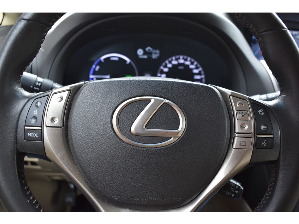 Lexus RX (15)