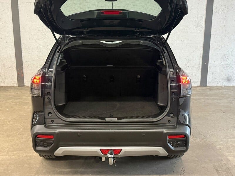 Suzuki Cross (9)
