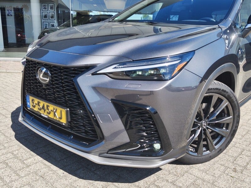 Lexus NX (2)