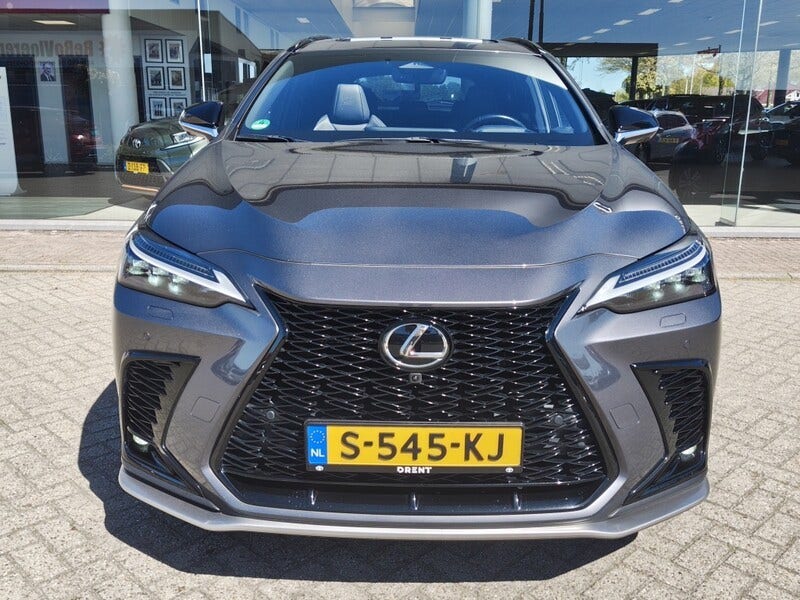 Lexus NX (6)