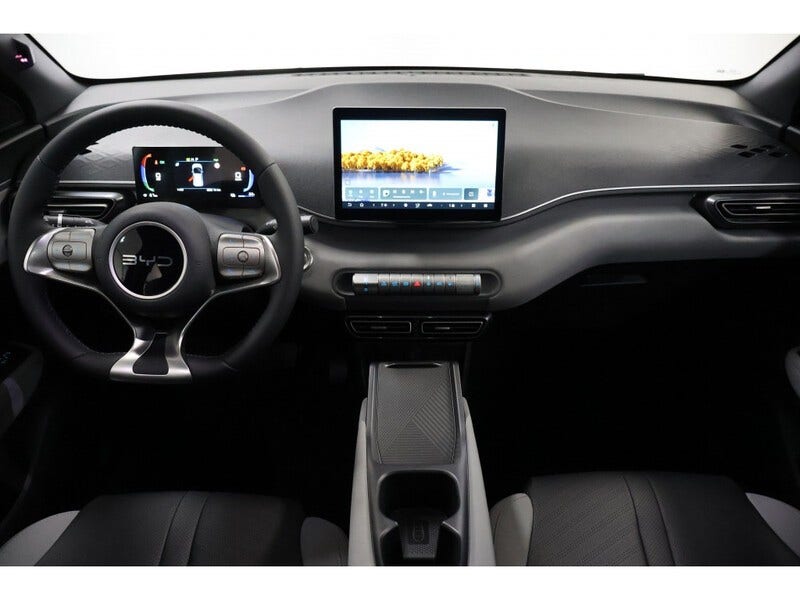 BYD DOLPHIN SURF (6)