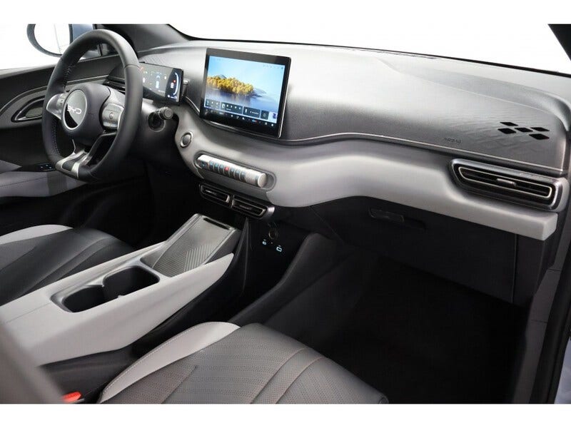 BYD DOLPHIN SURF (12)