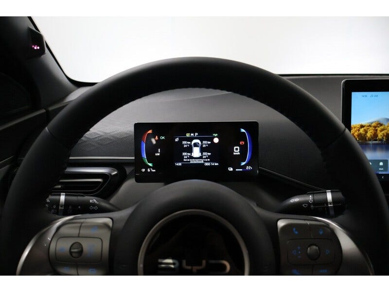 BYD DOLPHIN SURF (18)