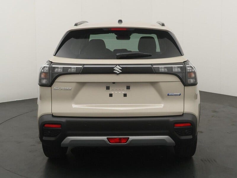 Suzuki Cross (5)