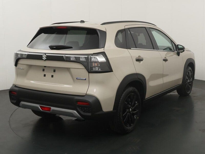 Suzuki Cross (6)