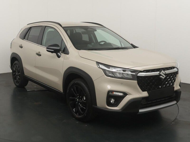 Suzuki Cross (8)