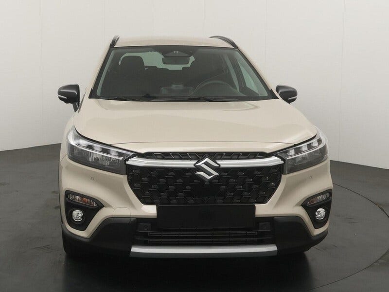 Suzuki Cross (9)