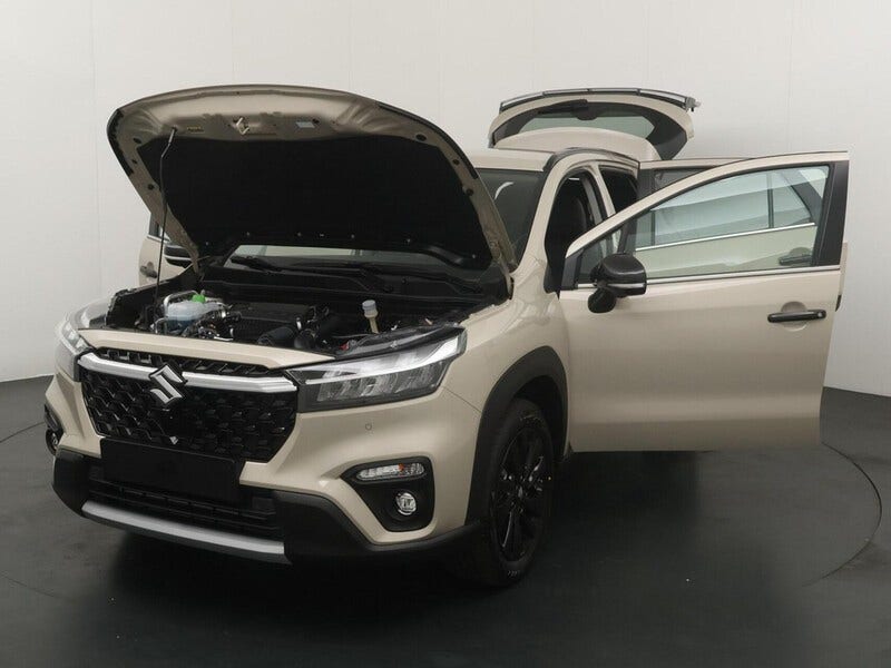 Suzuki Cross (17)