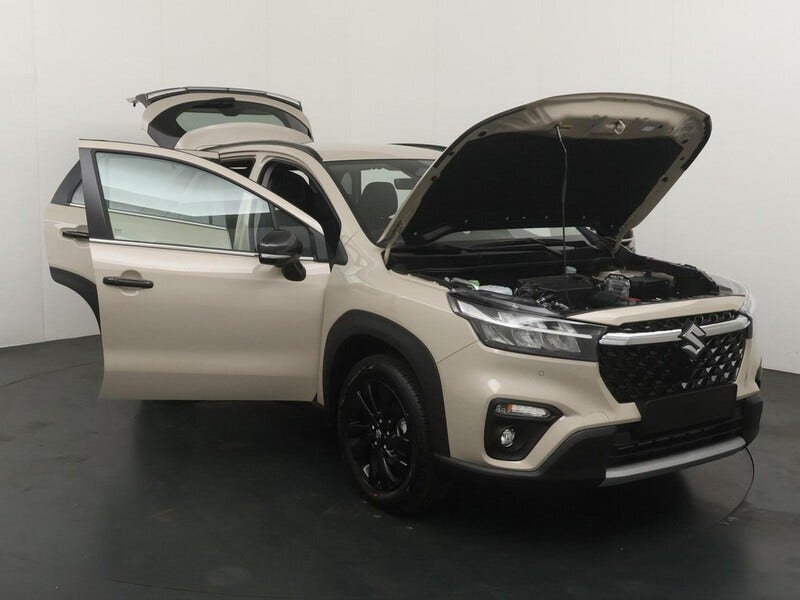 Suzuki Cross (23)