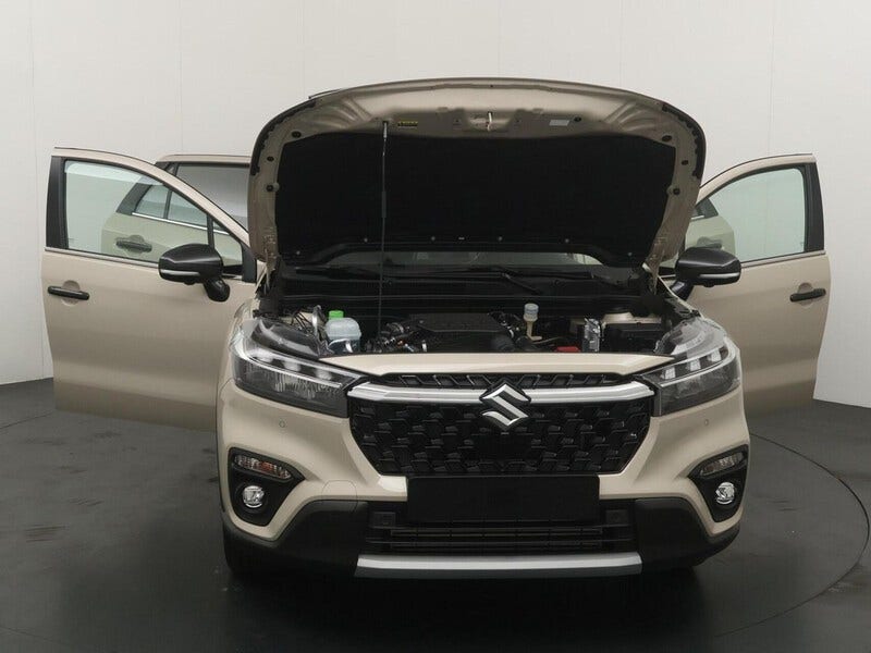Suzuki Cross (24)