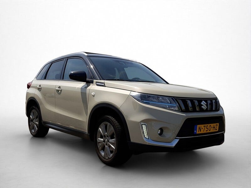 Suzuki Vitara (9)