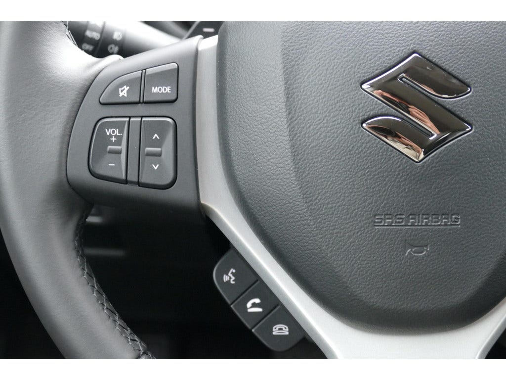 Suzuki Cross (15)