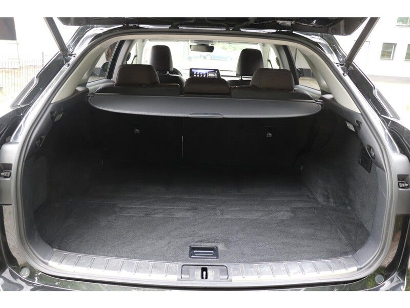 Lexus RX (17)