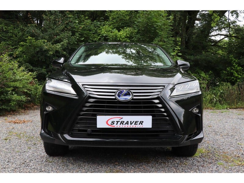 Lexus RX (19)