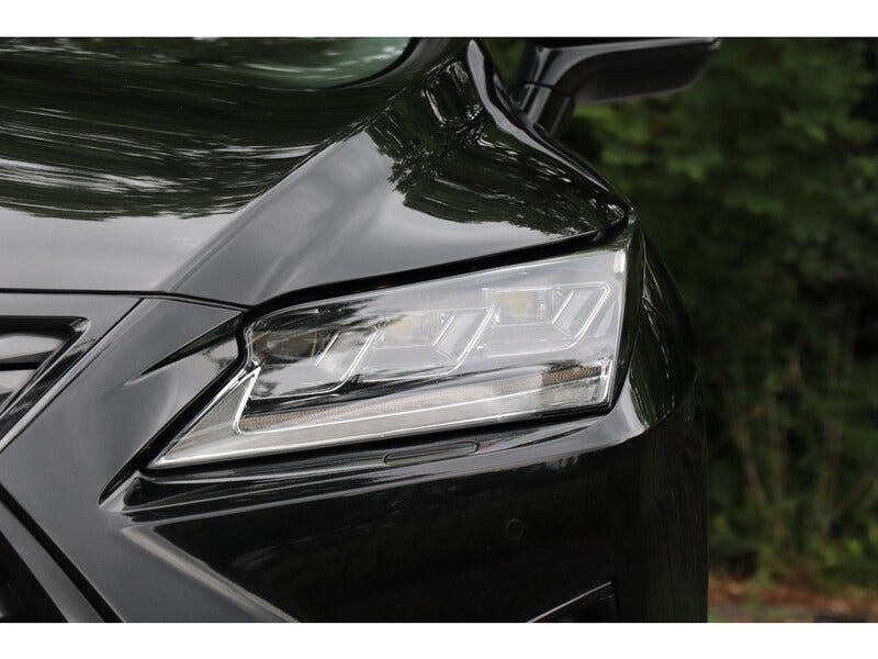 Lexus RX (21)