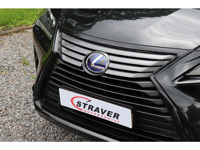 Lexus RX (22)