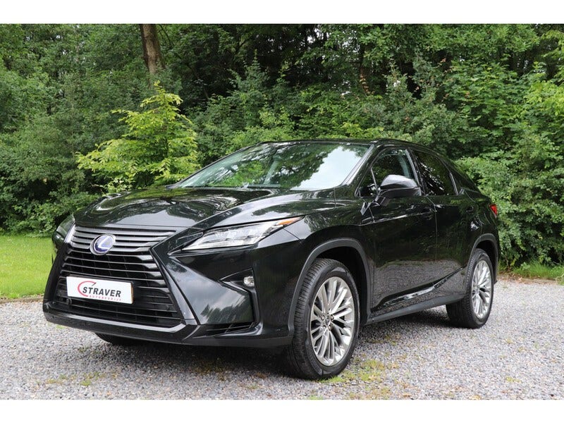 Lexus RX (23)
