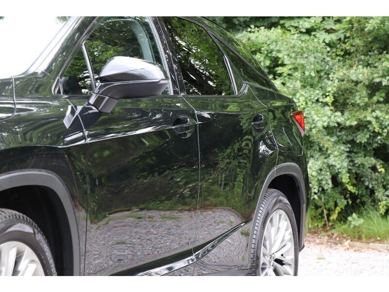 Lexus RX (24)