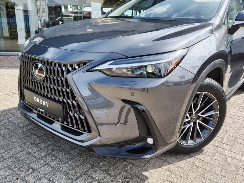 Lexus NX (2)