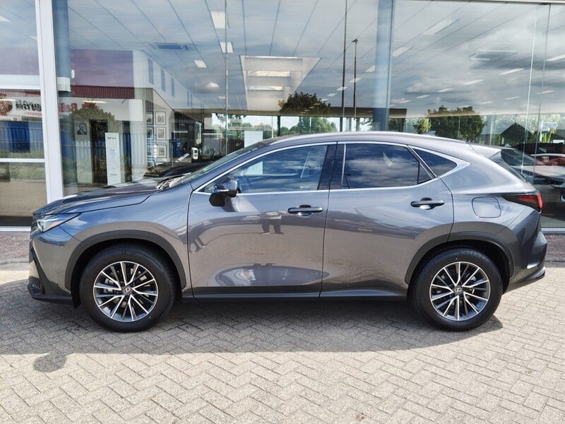 Lexus NX (3)