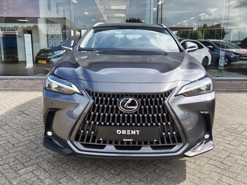 Lexus NX (6)