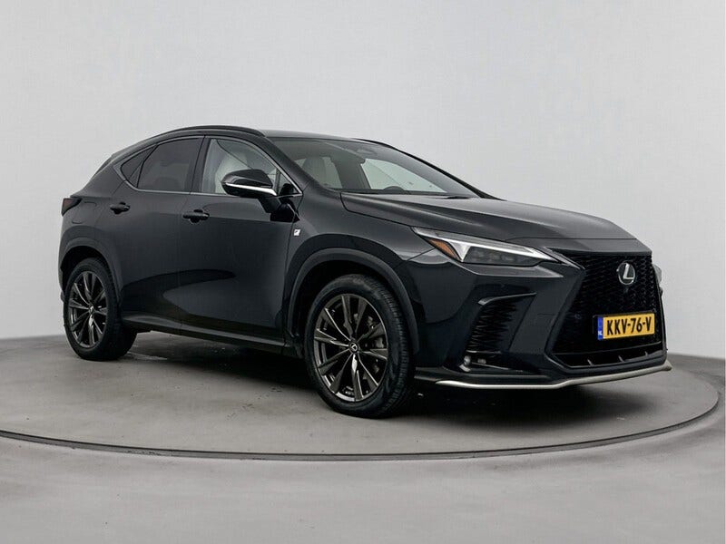 Lexus NX (13)