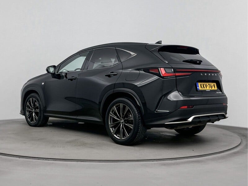 Lexus NX (14)