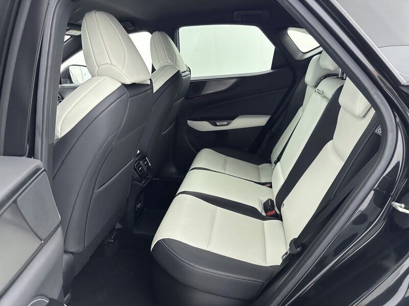 Lexus NX (17)
