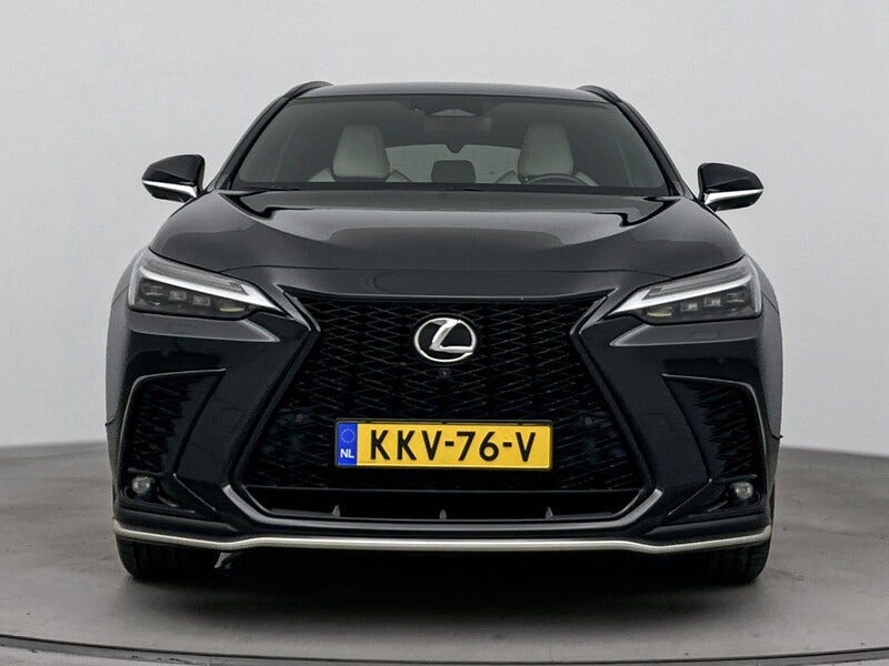 Lexus NX (21)
