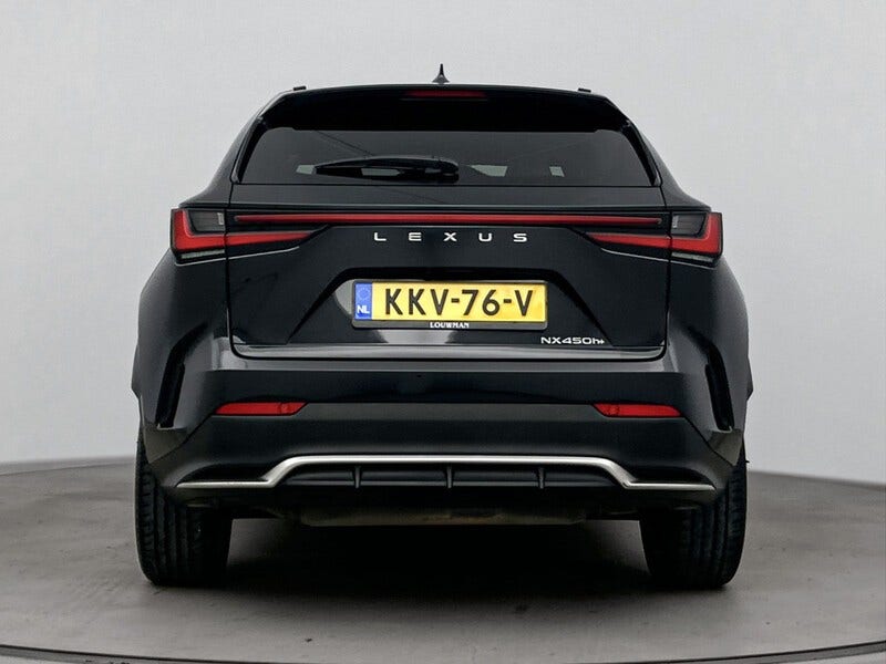 Lexus NX (22)