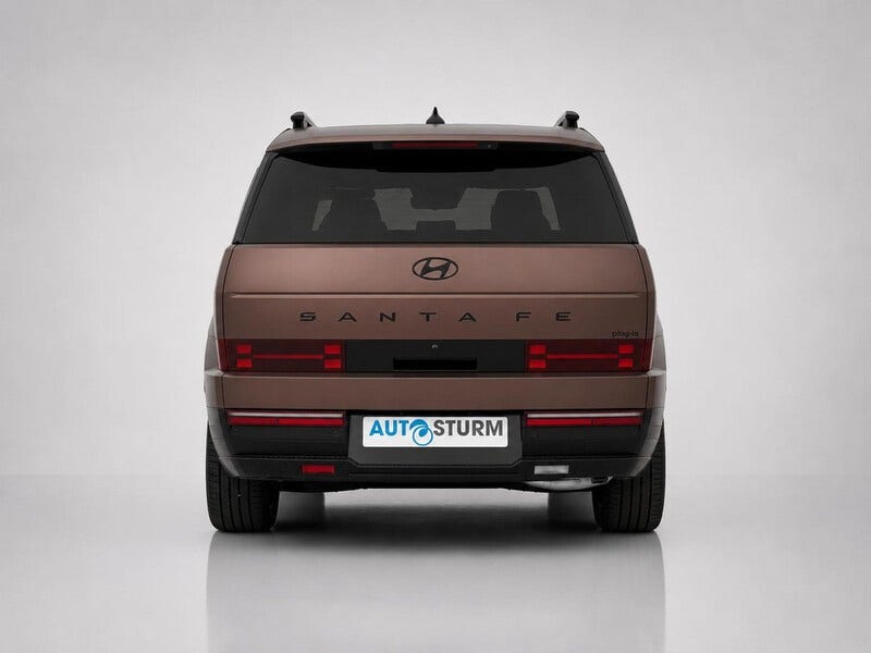Hyundai Santa Fe (4)
