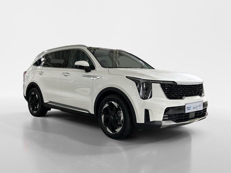 Kia Sorento (7)