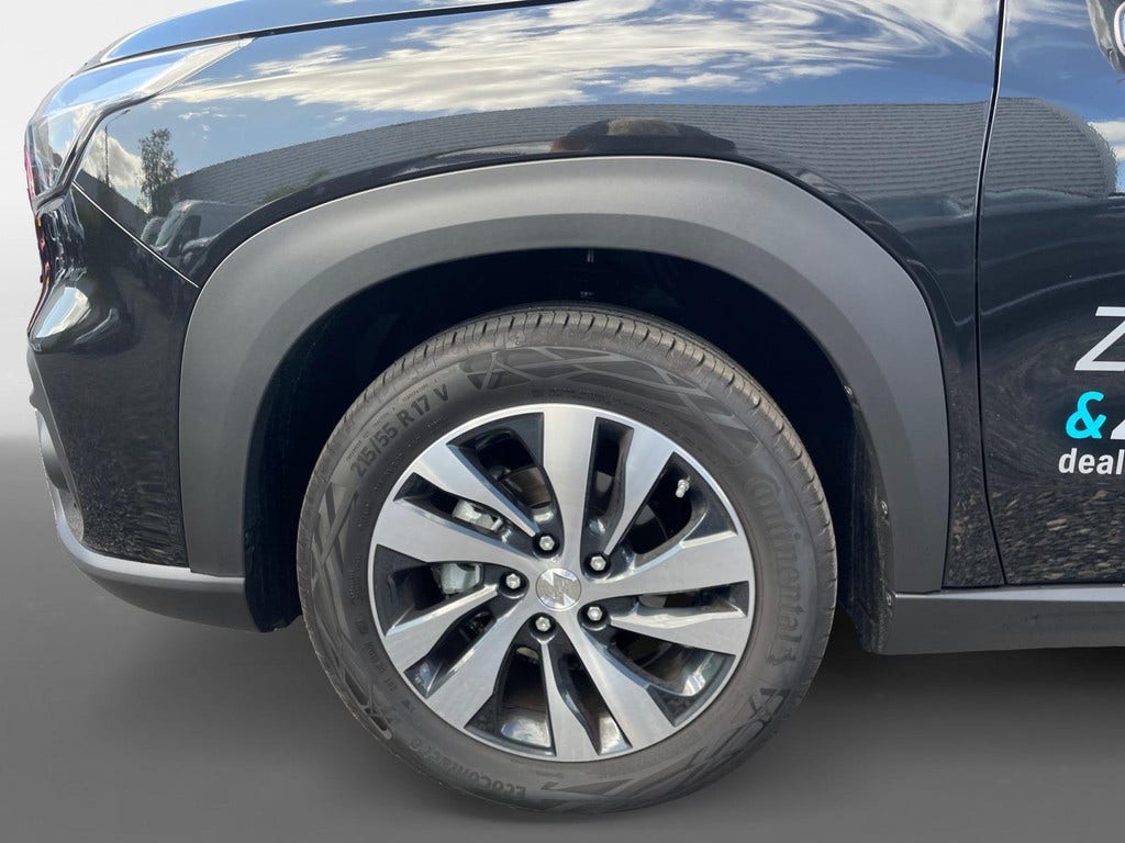 Suzuki Cross (8)