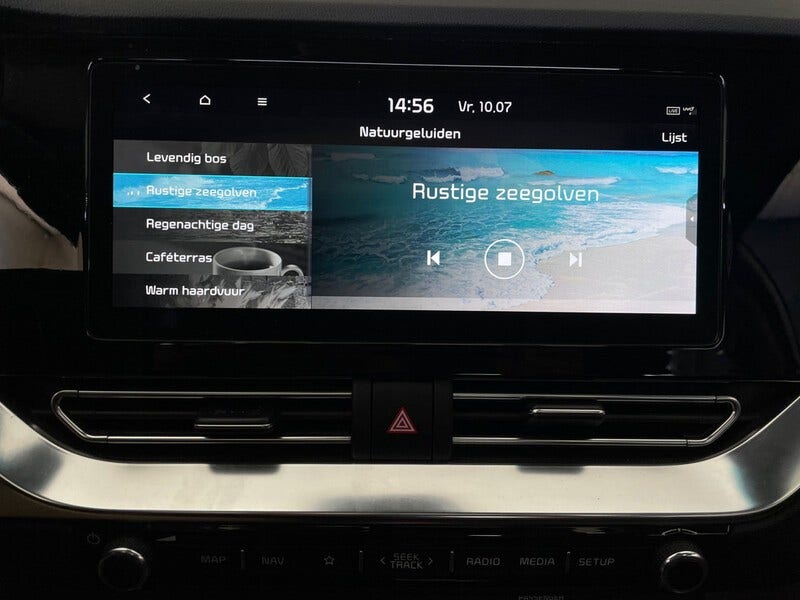 Kia e-Niro (19)
