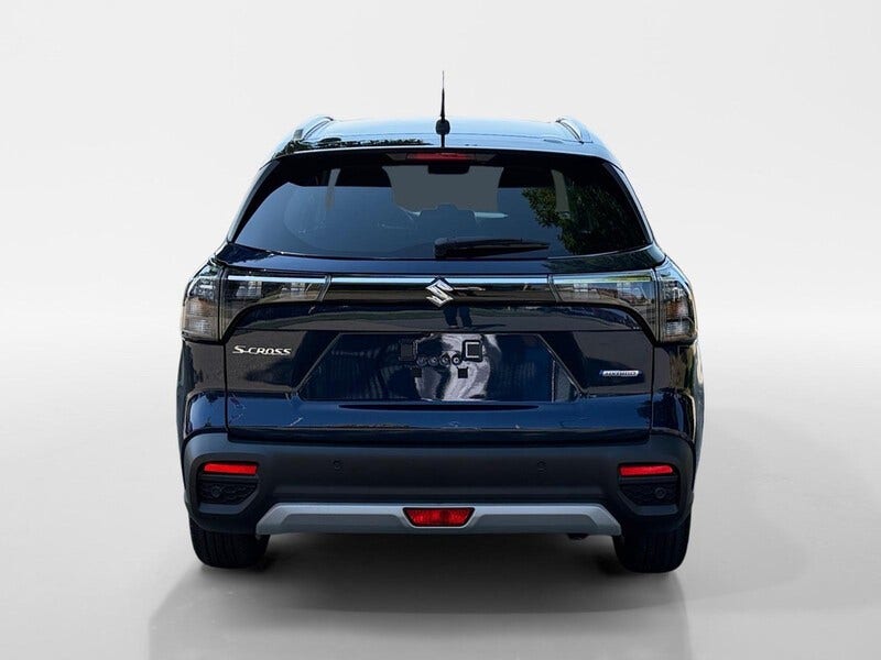 Suzuki Cross (4)