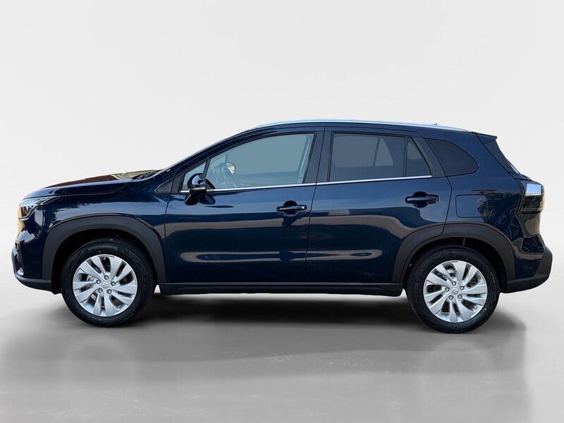 Suzuki Cross (8)