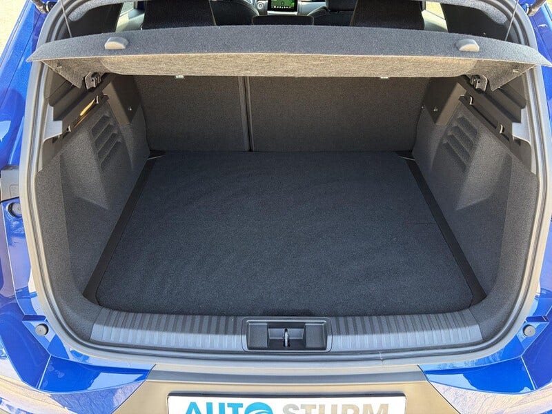 Mitsubishi Grandis (17)