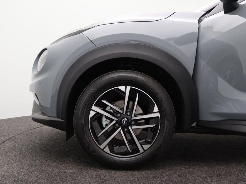 Nissan juke (17)