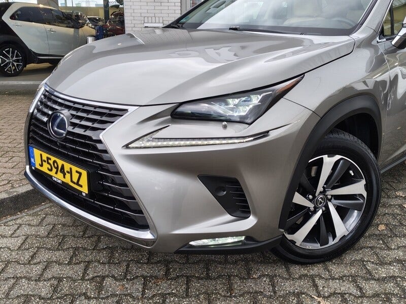 Lexus NX (2)
