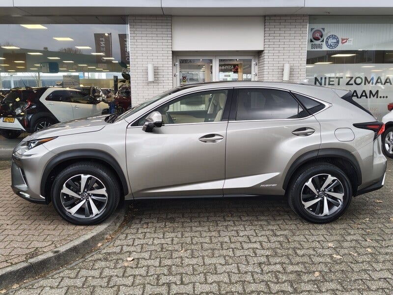 Lexus NX (3)