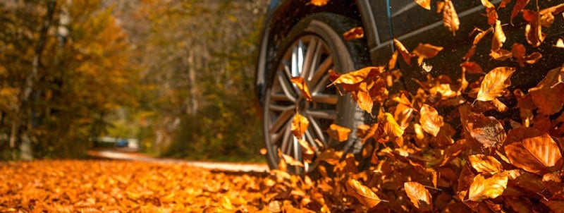 Dit zijn de grootste gevaren tijdens een autorit in de herfst